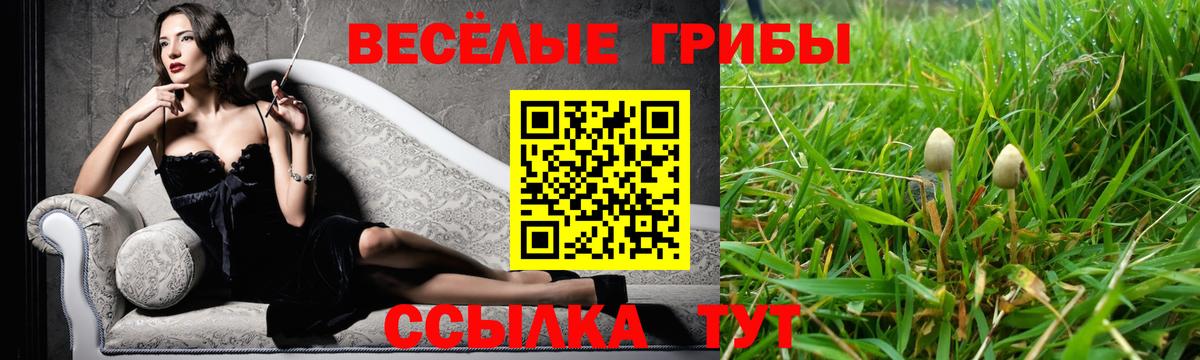 Галлюциногенные грибы MAGIC MUSHROOMS Вольск